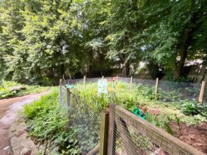 Photo 6- click for photo gallery